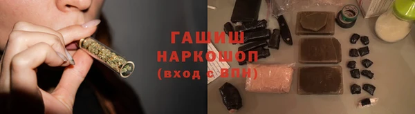 прущие грибы Алзамай