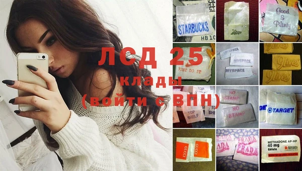 прущие грибы Алзамай