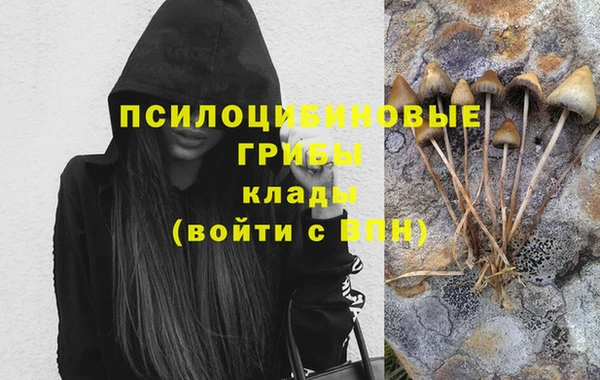 крисы Алексеевка