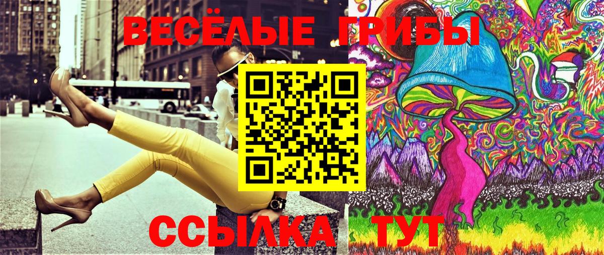 Тулун  Псилоцибиновые грибы мицелий  Вход с VPN  Галлюциногенные грибы мицелий 